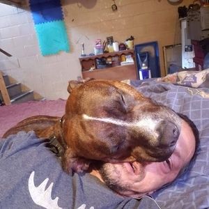 Meet your Posher, Trevor